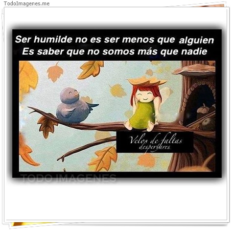 imagen de 7050-20160302-034214