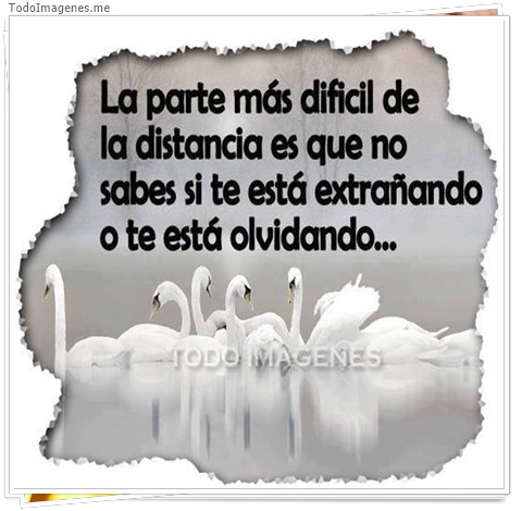 imagen de 4689-20160302-034024