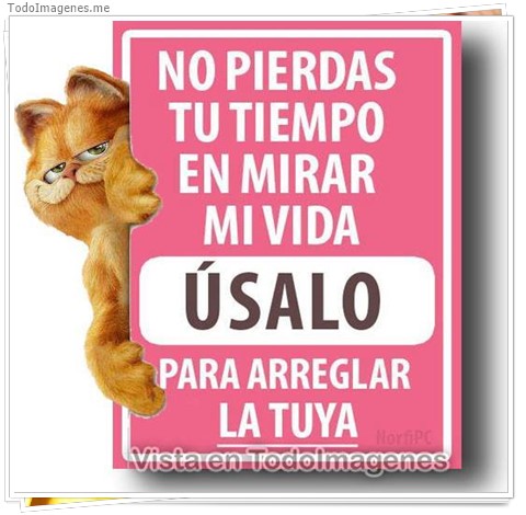 imagen de 059-20161009-164245