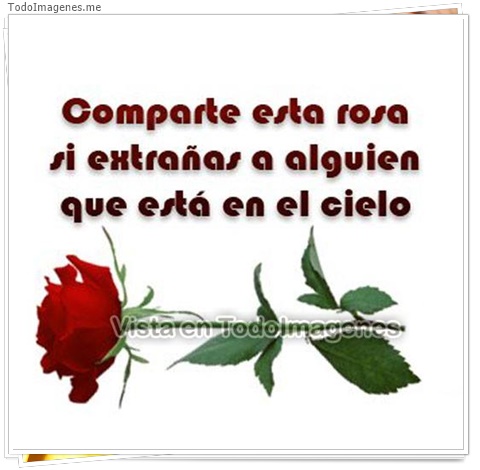 imagen de 10649-20160302-034616
