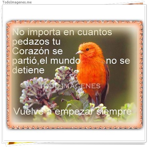 imagen de 6305-20160302-034138