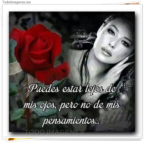 imagen de 8256-20160302-034329