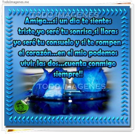 imagen de 6189-20160302-034132
