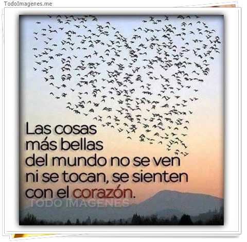 imagen de 9617-20160302-034458