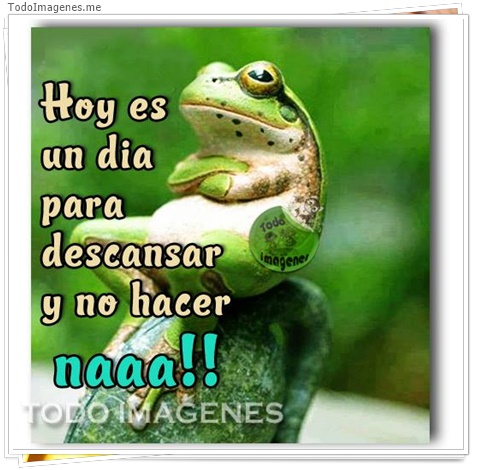 imagen de 1528-20160302-033801