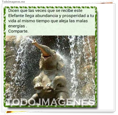 imagen de 10344-20160302-034555