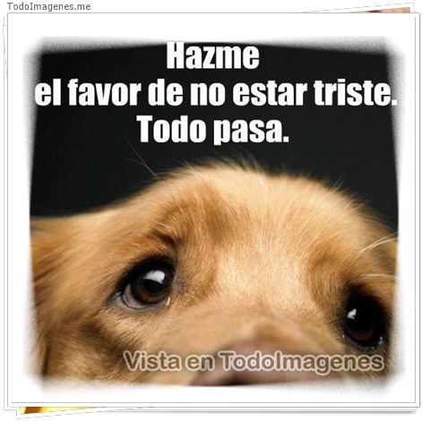imagen de 11343-20160302-034704