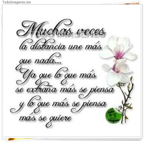 imagen de 9211-20160302-034430