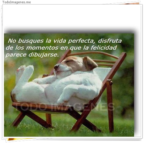 imagen de 2598-20160302-033849