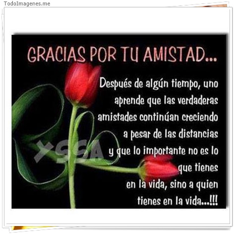 imagen de 11283-20160302-034700