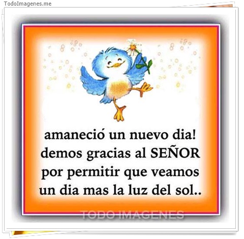 imagen de 7964-20160302-034308