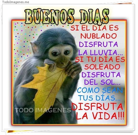 imagen de 7387-20160302-034232