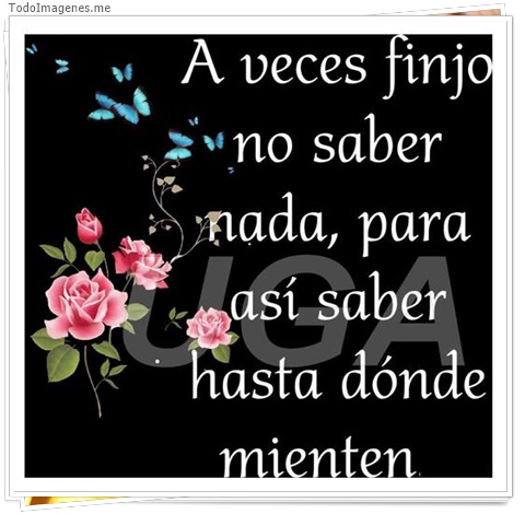 imagen de 11454-20160302-034711