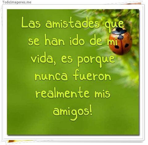 imagen de 1755-20160302-033811