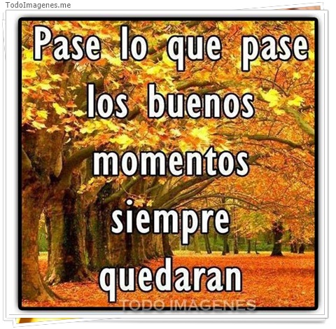 imagen de 7602-20160302-034246