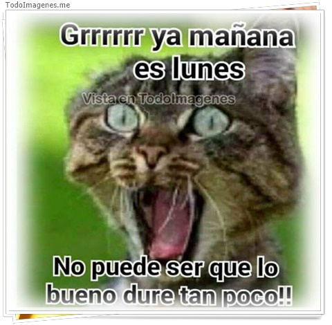 imagen de 10871-20160302-034633