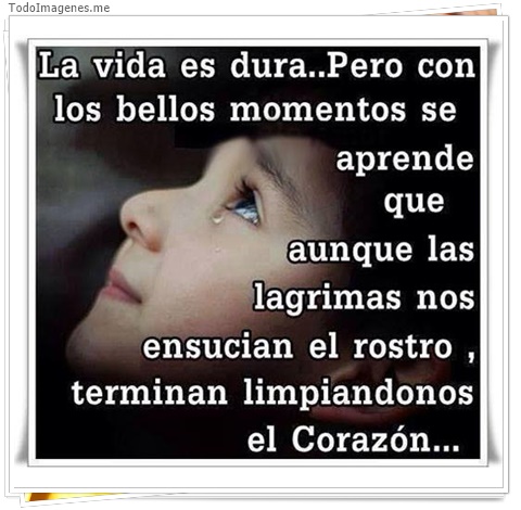 imagen de 7646-20160302-034248