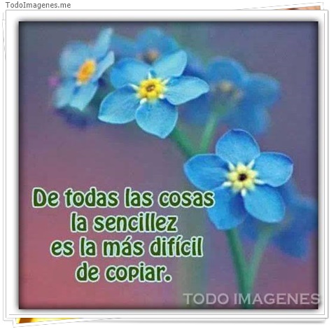 imagen de 3305-20160302-033922
