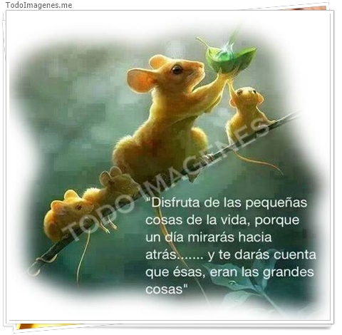 imagen de 695-20160302-033723