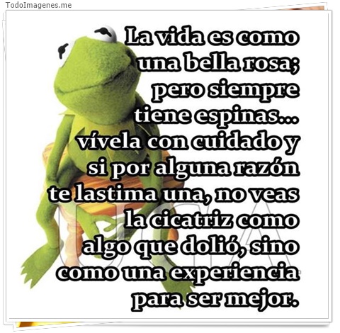 imagen de 1460-20160302-033757