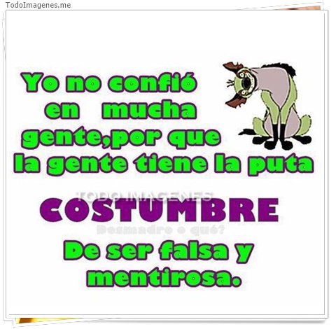 imagen de 4925-20160302-034035