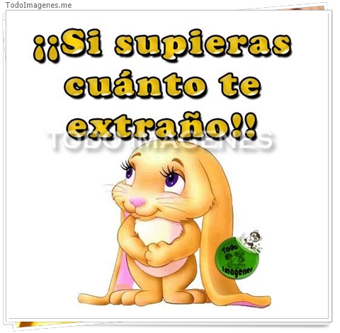 imagen de 2912-20160302-033904