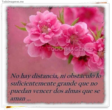 imagen de 7604-20160302-034246