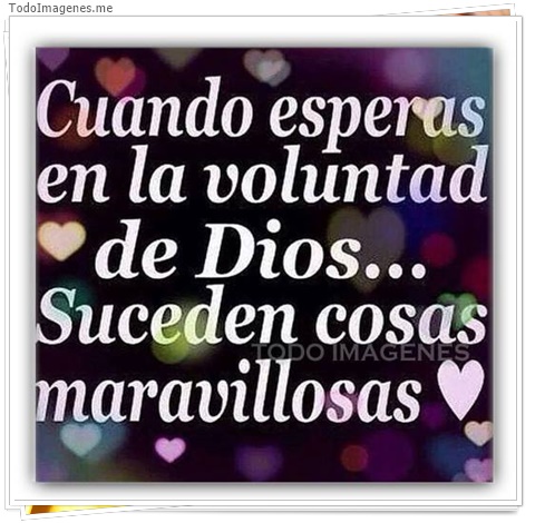 imagen de 3066-20160302-033911