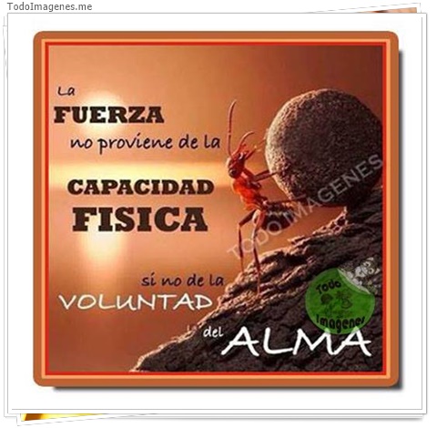 imagen de 1294-20160302-033751