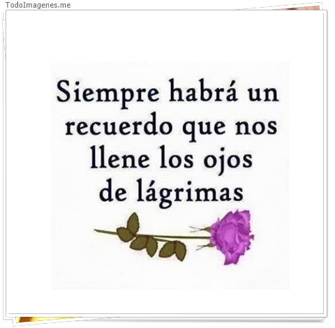 imagen de 2317-20160302-033837
