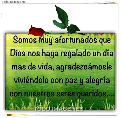 imagen de 8197-20160302-034325