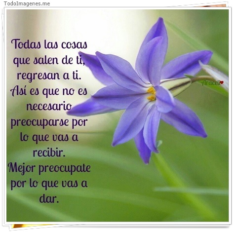 imagen de 5326-20160302-034053