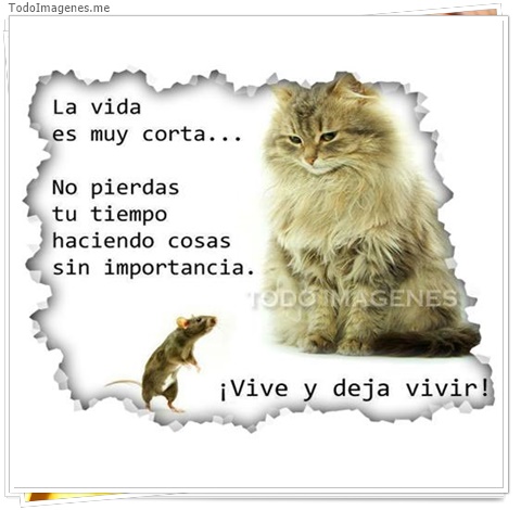 imagen de 9819-20160302-034513