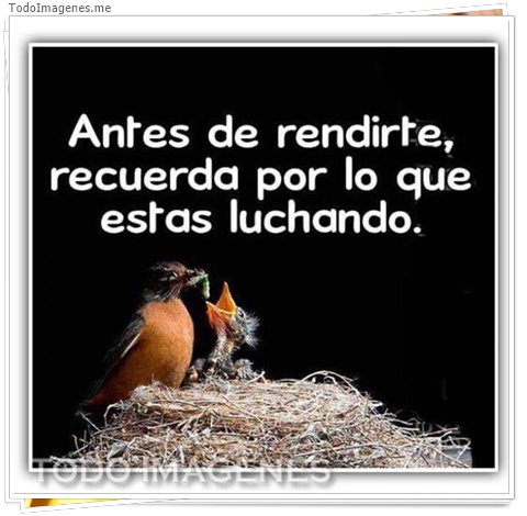 imagen de 2089-20160302-033827