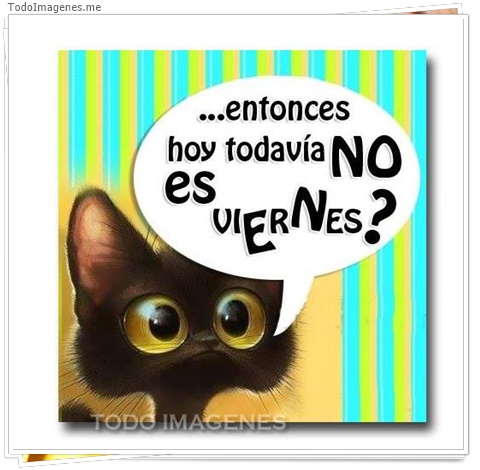 imagen de 7709-20160302-034252