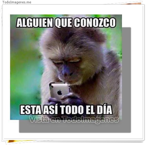 imagen de 10040-20160302-034530