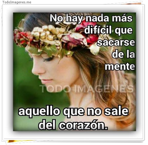 imagen de 11471-20160302-034713