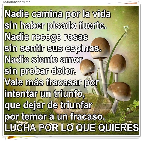 imagen de 3908-20160302-033950