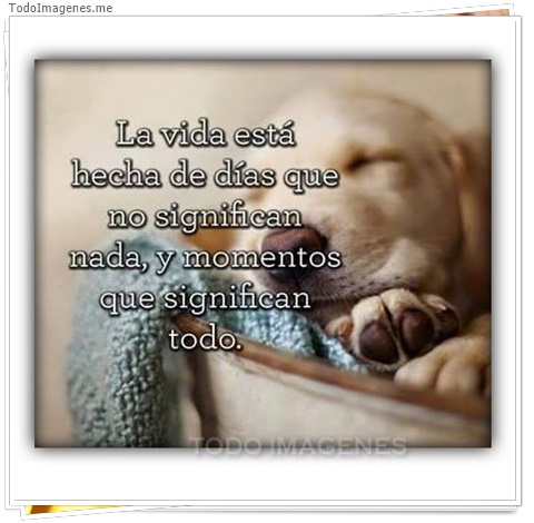 imagen de 4671-20160302-034023