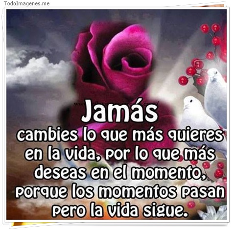 imagen de 5399-20160302-034056