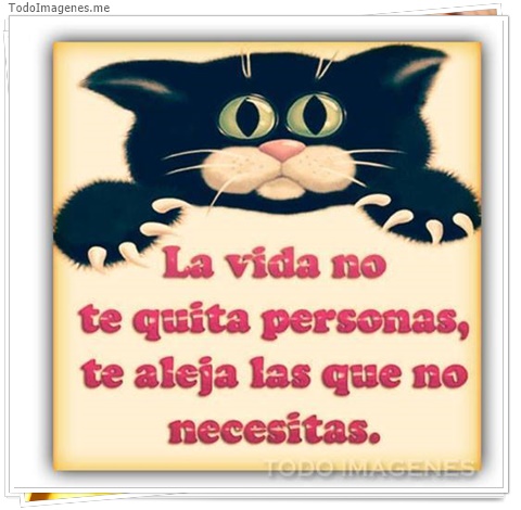 imagen de 766-20160302-033727