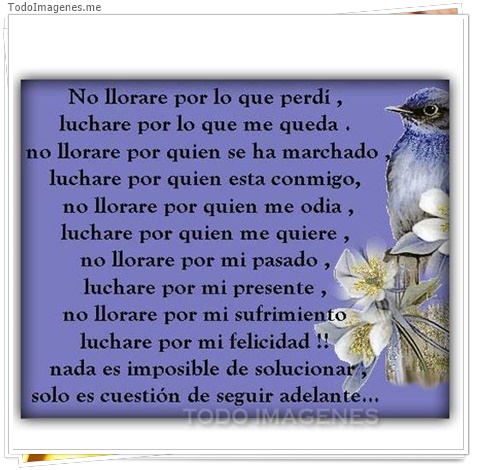 imagen de 4194-20160302-034002