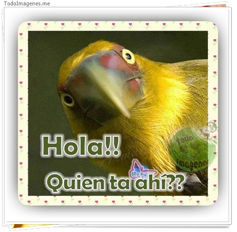 imagen de 1186-20160302-033746