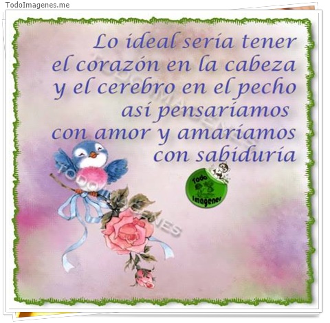 imagen de 6639-20160302-034154