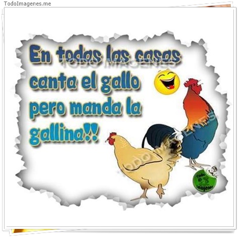 imagen de 5972-20160302-034122