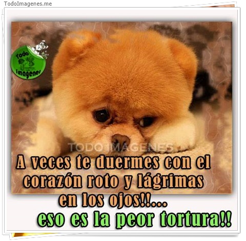 imagen de 5616-20160302-034106