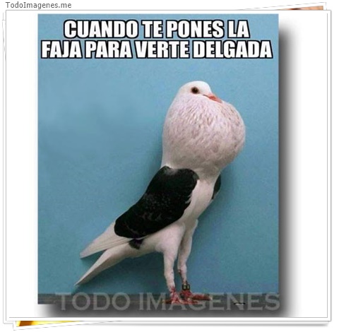 imagen de 10007-20160302-034528