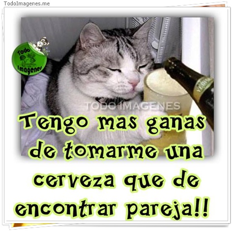 imagen de 5595-20160302-034105