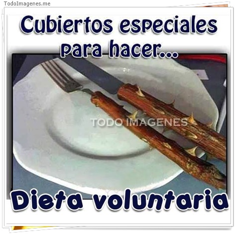 imagen de 2161-20160302-033829