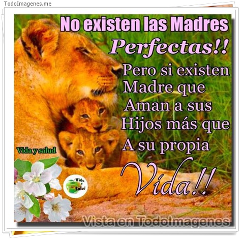 imagen de 10720-20160302-034621
